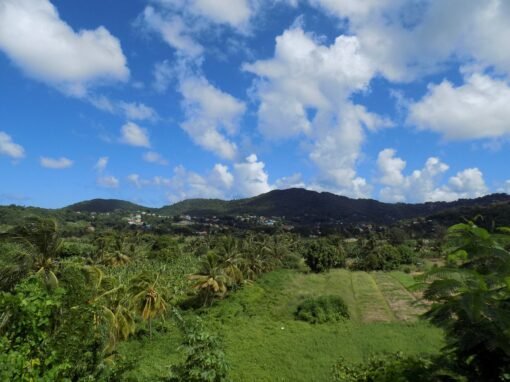 landscape-view-marigot