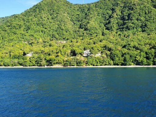 fauna-from-boat